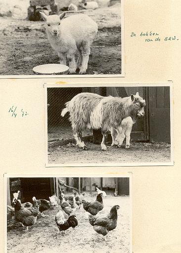 1973-03 dierentuin 3.jpg